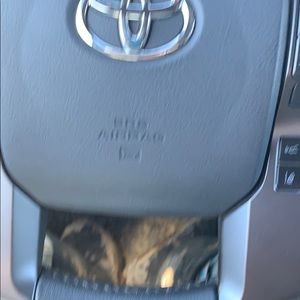 Meet your Posher, Nick